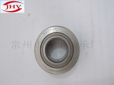 <a href=http://www.junhuabearing.com/ target='_blank'>滚轮轴承</a>